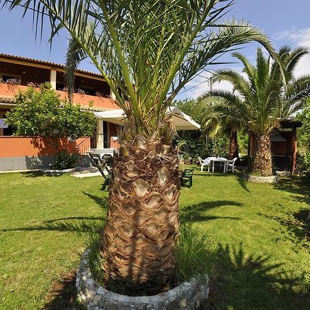 Villa Toula 达西亚 外观 照片